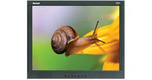 [P11-013] 19" A/V Monitor With BNC Loop