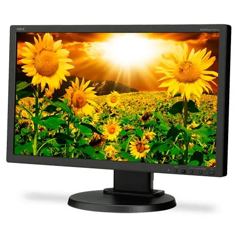 [P11-041] NEC Display Solutions E201W-BK